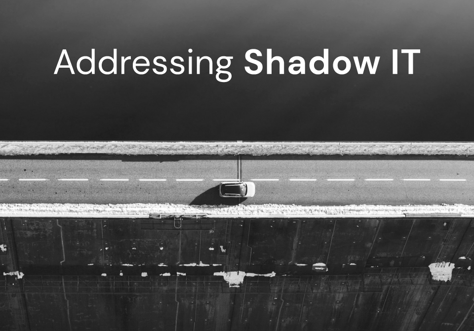 embracing-shadow-it-blog